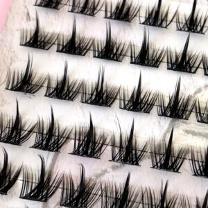 Eyelashes Book Set