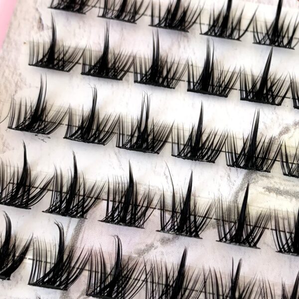 Eyelashes Book Set
