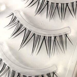 Eyelashes S21-B